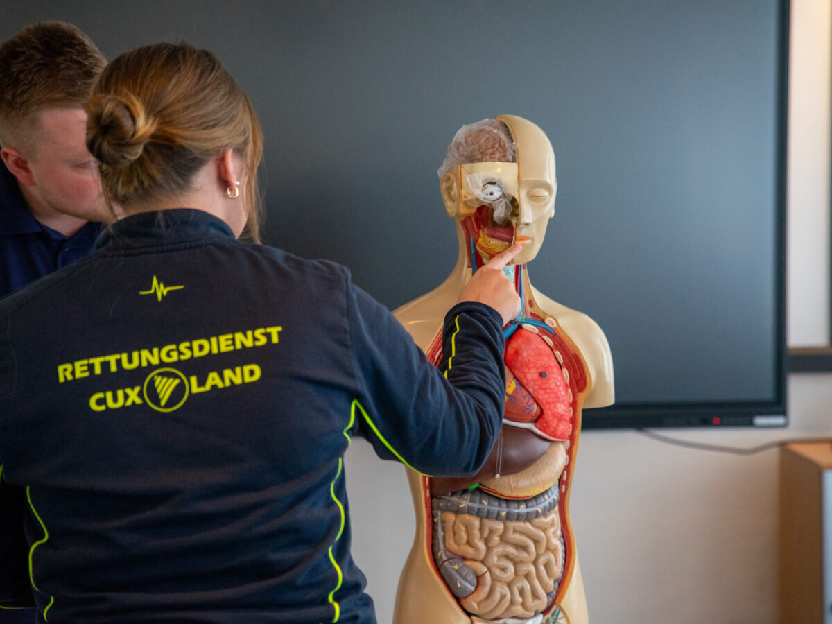 Ein Foto von einer Anatomiepuppe von einem Oberkörper im Bildungszentrum der RDC.