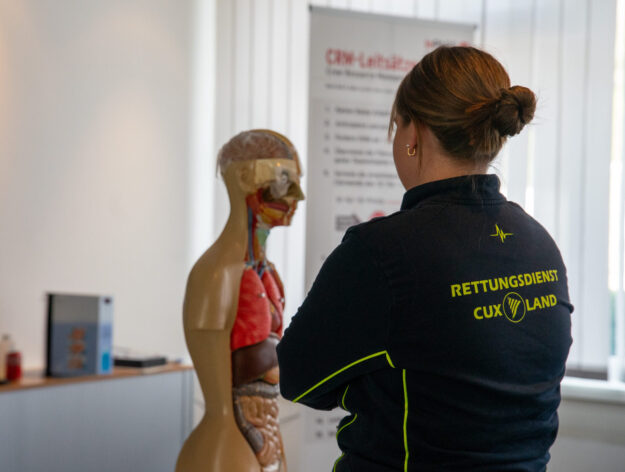 Ein Foto von einer Anatomiepuppe von einem Oberkörper im Bildungszentrum der RDC.