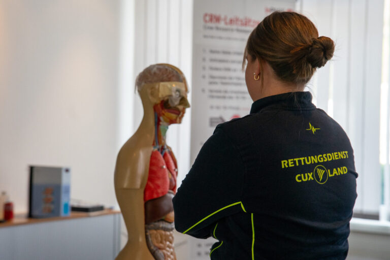 Ein Foto von einer Anatomiepuppe von einem Oberkörper im Bildungszentrum der RDC.